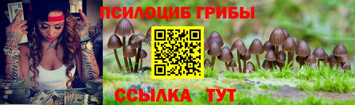 Южно-Сахалинск  Галлюциногенные грибы Magic Shrooms  Вход с VPN  Галлюциногенные грибы GOLDEN TEACHER 